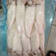 squid-whole-cleaned